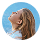 badge image